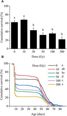 Effect of X-ray irradiation on the biological parameters of Xestia c-nigrum